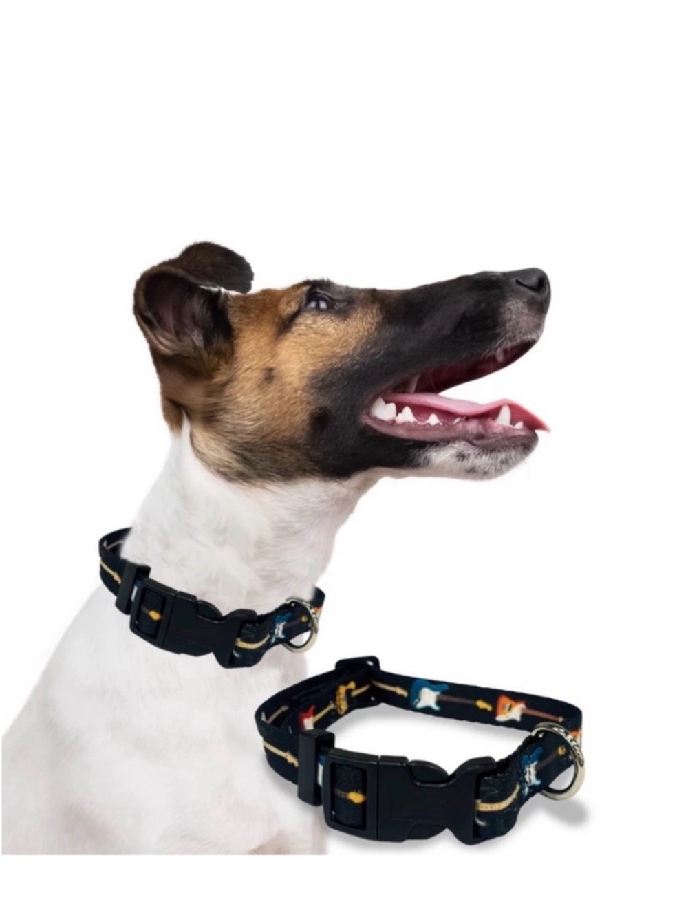 NEW Fender Guitar 🎸 Size Large (56-70 lbs) Pet Logo Dog Collar Black NWT Perri’s